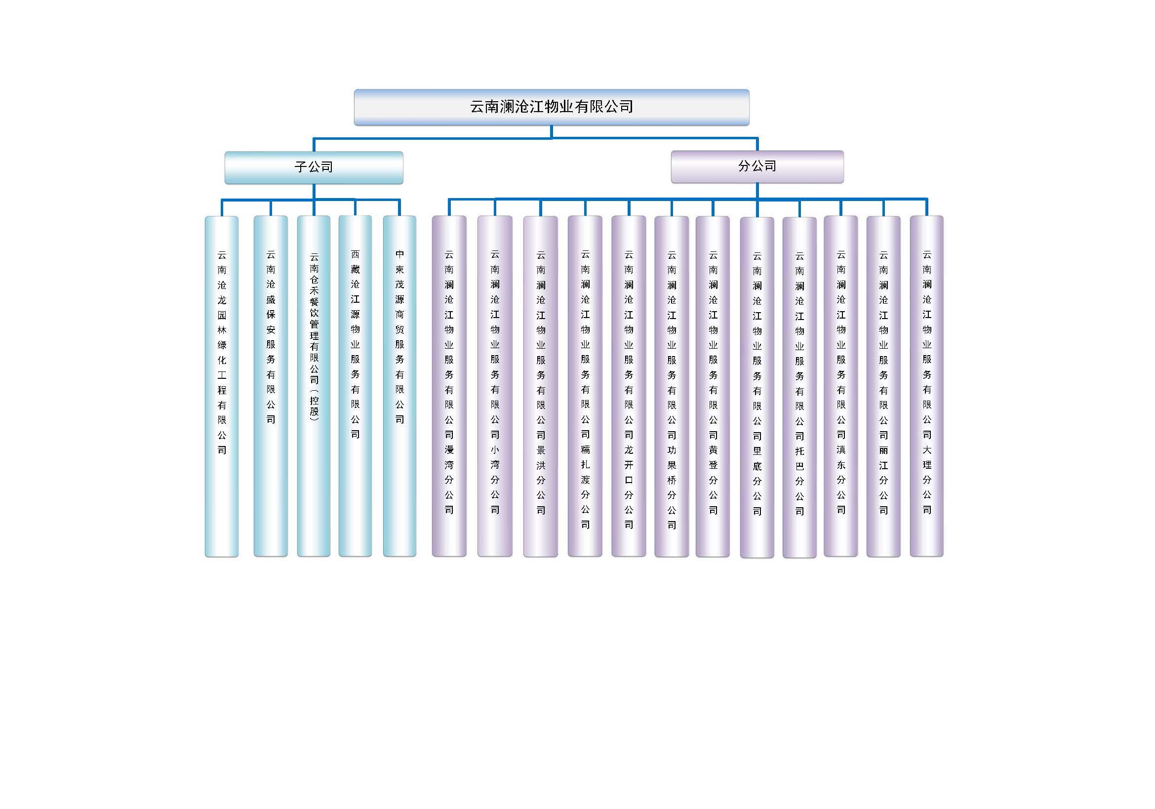 澜沧江物业组织架构图（2022.11.29） 拷贝.jpg